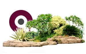 Landscaping companies in Doha 